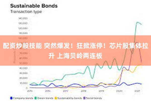 配资炒股技能 突然爆发！狂掀涨停！芯片股集体拉升 上海贝