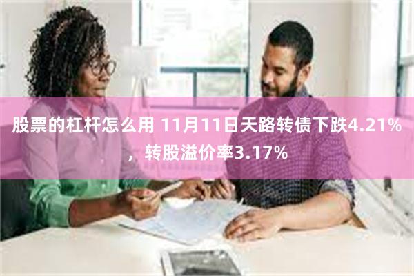 股票的杠杆怎么用 11月11日天路转债下跌4.21%，转股溢价率3.17%