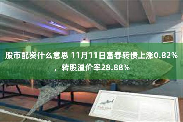 股市配资什么意思 11月11日富春转债上涨0.82%，转股溢价率28.88%