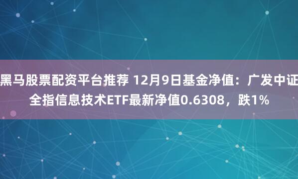 黑马股票配资平台推荐 12月9日基金净值：广发中证全指信息技术ETF最新净值0.6308，跌1%