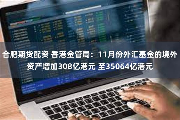 合肥期货配资 香港金管局：11月份外汇基金的境外资产增加308亿港元 至35064亿港元