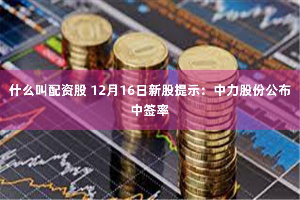 什么叫配资股 12月16日新股提示：中力股份公布中签率