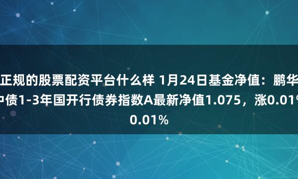 正规的股票配资平台什么样 1月24日基金净值：鹏华中债1-3年国开行债券指数A最新净值1.075，涨0.01%