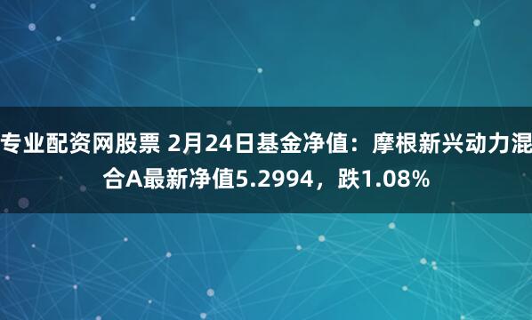 专业配资网股票 2月24日基金净值：摩根新兴动力混合A最新净值5.2994，跌1.08%