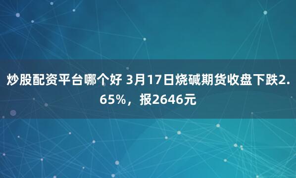 炒股配资平台哪个好 3月17日烧碱期货收盘下跌2.65%，报2646元